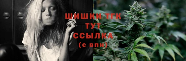 ECSTASY Кукмор