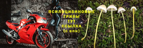 mdma Каменка