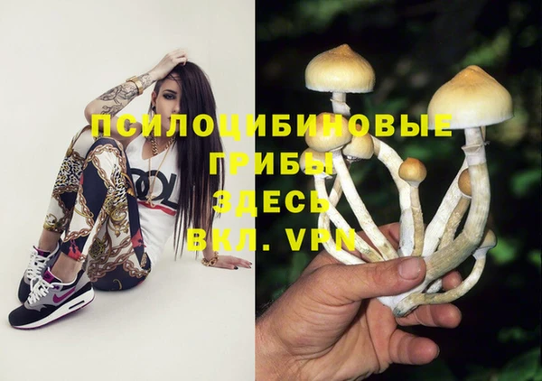 бошки Кулебаки