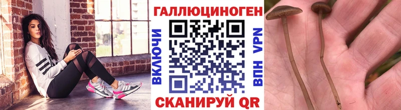 Галлюциногенные грибы GOLDEN TEACHER  Алдан 